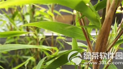 黑莓priv怎么样 黑莓安卓手机priv上手体验评测8