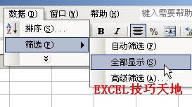 Excel中的高级筛选基础教程_本站