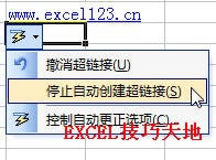Excel在单元格中输入网络地址时不自动转换为超链接_本站