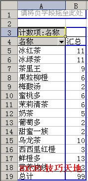 Excel用数据透视表查找某列中出现次数最多的10种数据_本站