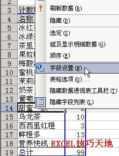Excel用数据透视表查找某列中出现次数最多的10种数据_本站