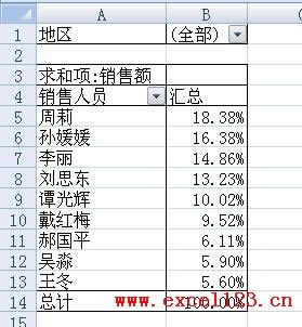 什么是数据透视表？_本站