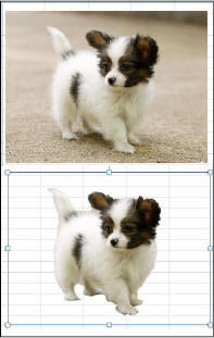 Excel2010½湦ܼ_վ