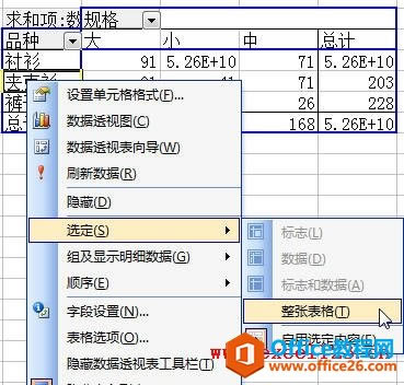 如何删除Excel数据透视表