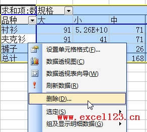 如何删除Excel数据透视表_本站