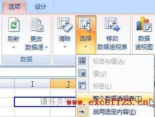 如何删除Excel数据透视表_本站