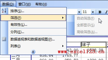Excel͸ӱΪԶɸѡ_վ
