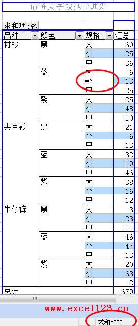 Excel如何迅速选择数据透视表中的同类项