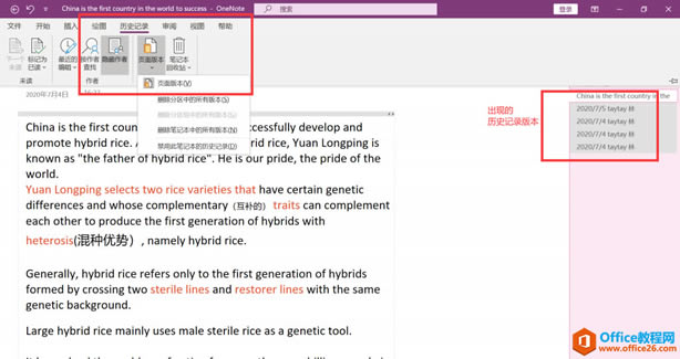 OneNote