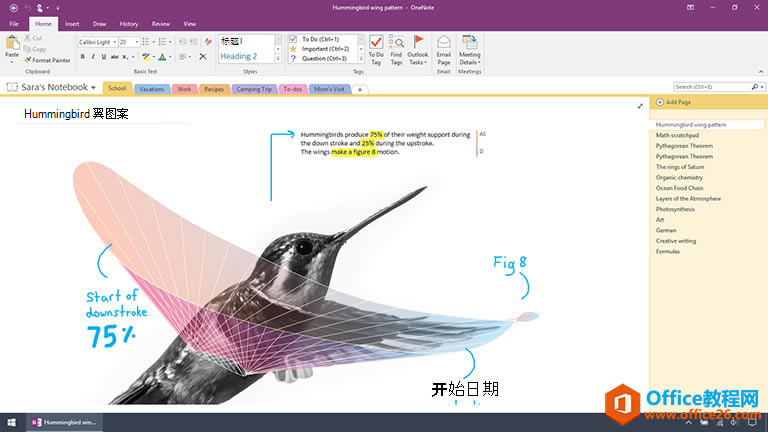 OneNote  OneNote 2016 ɶ