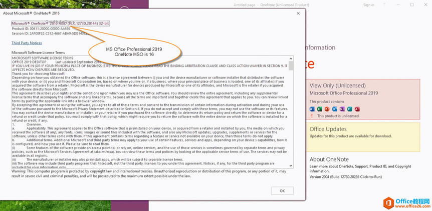 Microsoft Office Professional 2019OneNoteMSO汾16.0