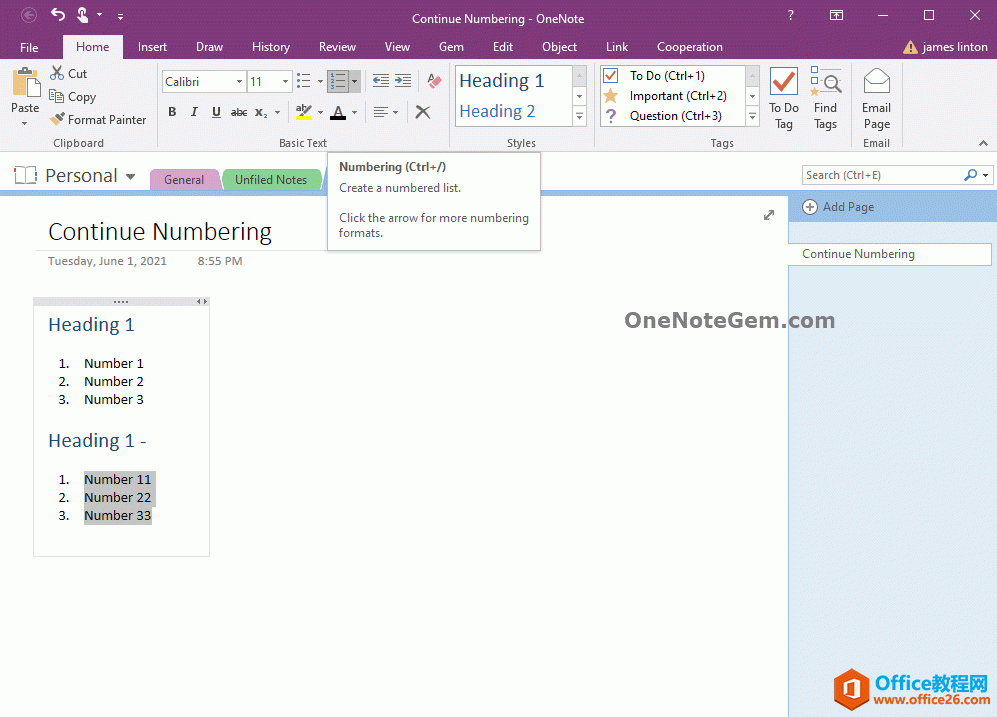 2 个 OneNote 相互隔开的数字编号列表