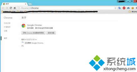 输入“chrome://chrome”